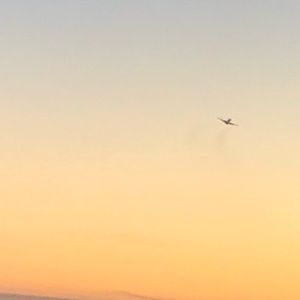 Meet your Posher, Audrey